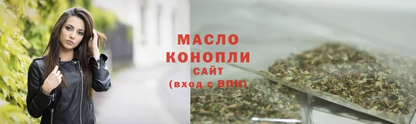 молекула духа Богородск